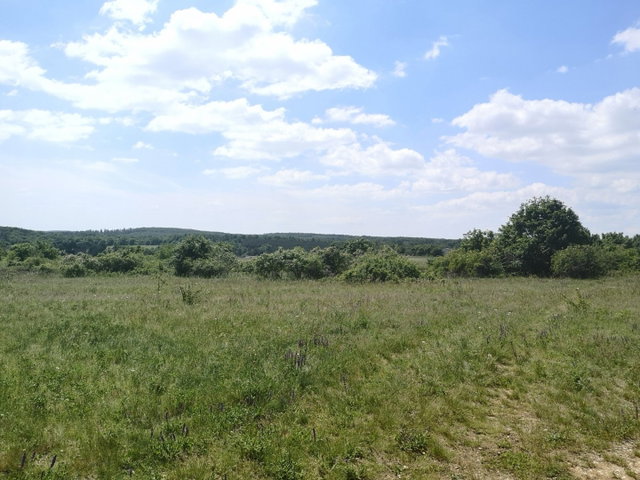 Eladó mezogazdasagi ingatlan, Vászolyon 98 M Ft