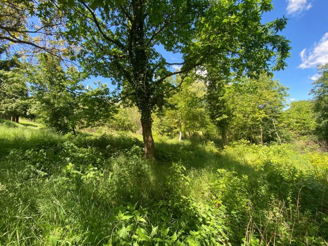 Eladó telek, Zalacsányon 14.4 M Ft / költözzbe.hu