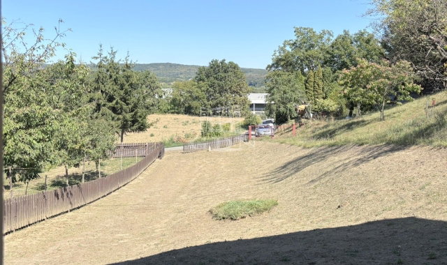 Eladó családi ház, Zalaegerszegen 29 M Ft, 2 szobás