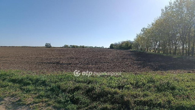 Eladó mezogazdasagi ingatlan, Érden 12.2 M Ft