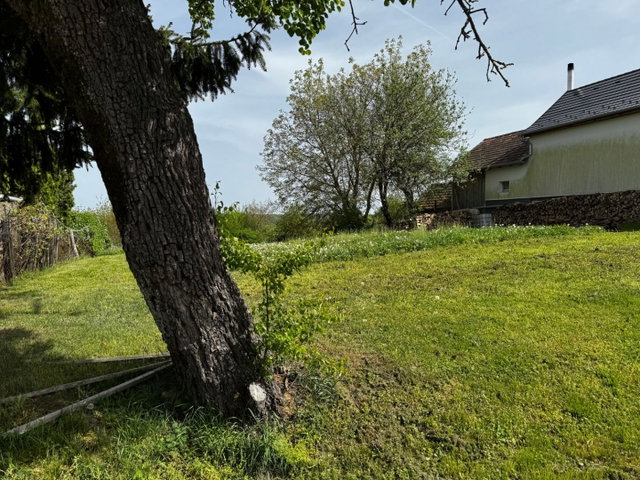 Eladó telek, Kustánszegen 3.5 M Ft / költözzbe.hu