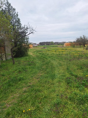 Eladó telek, Tiszaföldváron 2.6 M Ft / költözzbe.hu