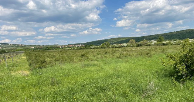 Eladó telek, Dörgicsén 23.5 M Ft / költözzbe.hu