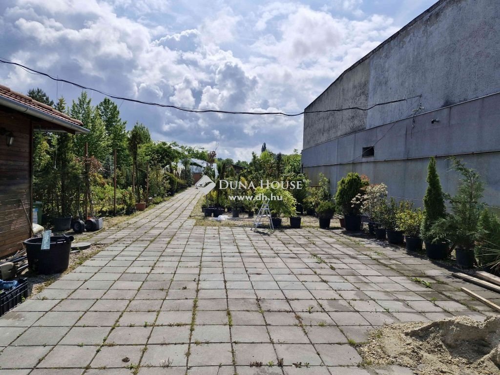 1199m² · 55.000.000 ft