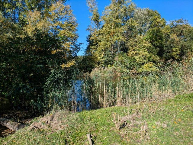 Eladó telek, Dunaszigeten 109.5 M Ft / költözzbe.hu