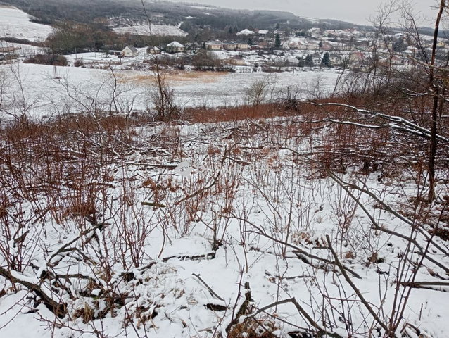 Eladó mezogazdasagi ingatlan, Egerszóláton 7.8 M Ft