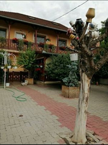Eladó családi ház, Úrin 260 M Ft, 7 szobás