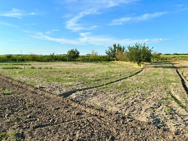 Eladó telek, Makón, Bánat utcában 4.29 M Ft