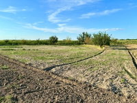 Eladó telek, Makón, Bánat utcában 4.29 M Ft