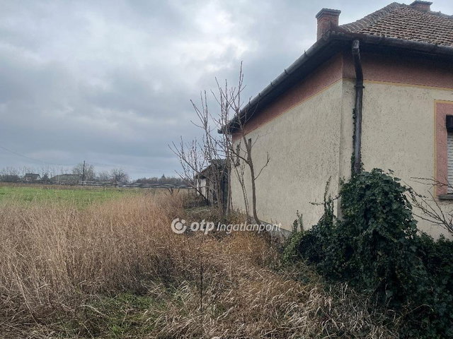 Eladó telek, Tiszaföldváron 2.5 M Ft / költözzbe.hu