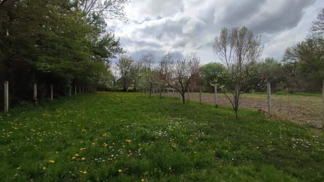 Eladó családi ház, Buzsákon 47.5 M Ft / költözzbe.hu