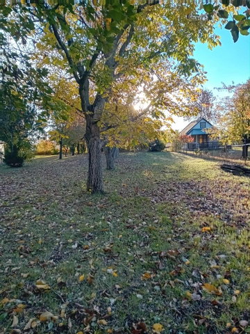Eladó nyaraló, Gyomaendrődön 25 M Ft, 3+1 szobás