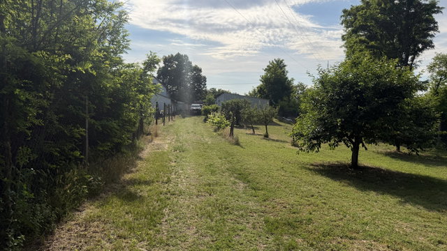 Eladó mezogazdasagi ingatlan, Baján 37.5 M Ft