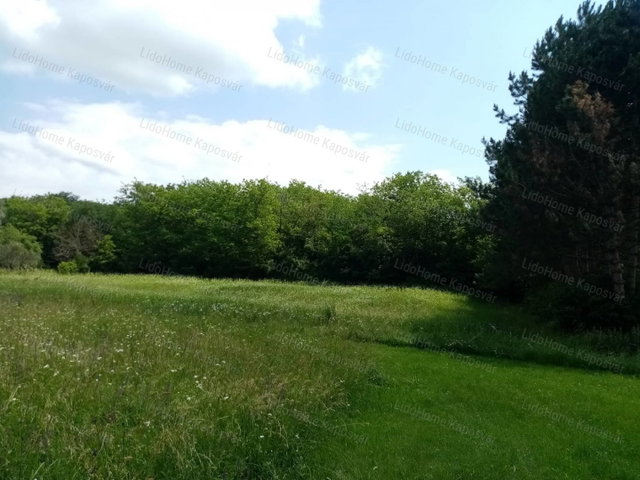 Eladó mezogazdasagi ingatlan, Igalon 2.1 M Ft