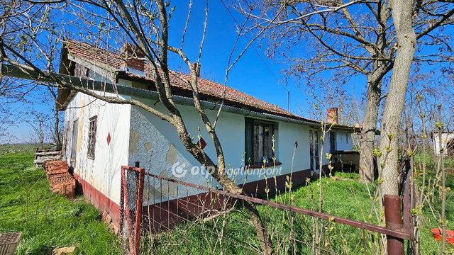 Eladó mezogazdasagi ingatlan, Szentesen 5.5 M Ft, 2 szobás
