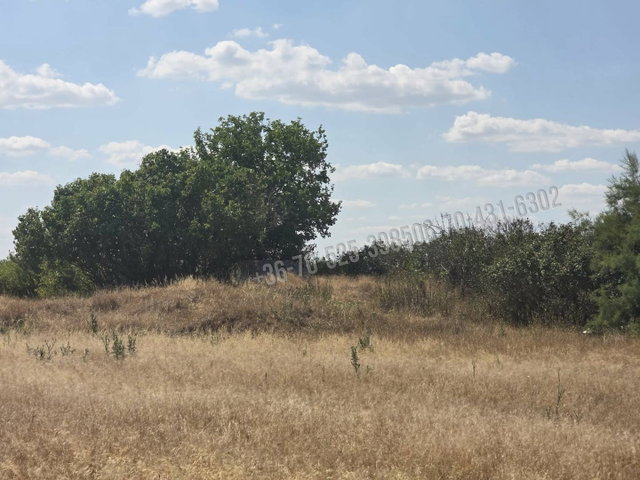 Eladó mezogazdasagi ingatlan, Mikebudán 2.35 M Ft