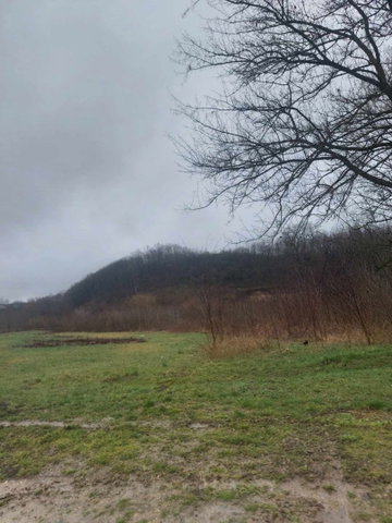 Eladó telek, Szőlősgyörökön 9.9 M Ft / költözzbe.hu
