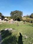 Eladó telek, Mohácson 2.9 M Ft / költözzbe.hu