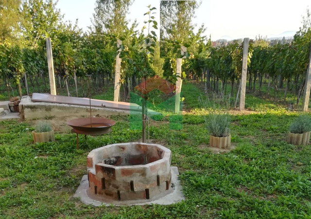Eladó mezogazdasagi ingatlan, Marcaliban 21.5 M Ft