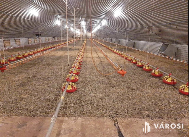 Eladó mezogazdasagi ingatlan, Békéscsabán 150 M Ft, 2 szobás