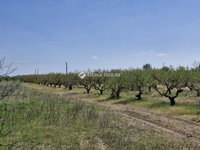 Eladó mezogazdasagi ingatlan, Bordányon 5.7 M Ft