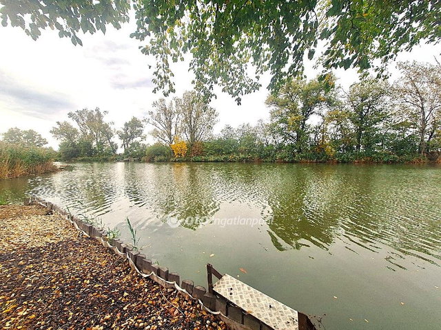 Eladó telek, Gyomaendrődön 29.5 M Ft / költözzbe.hu