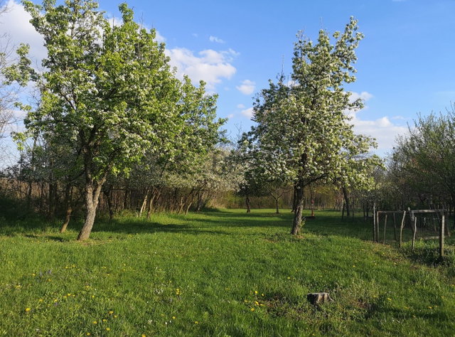 Eladó nyaraló, Káváson 8.5 M Ft, 1 szobás