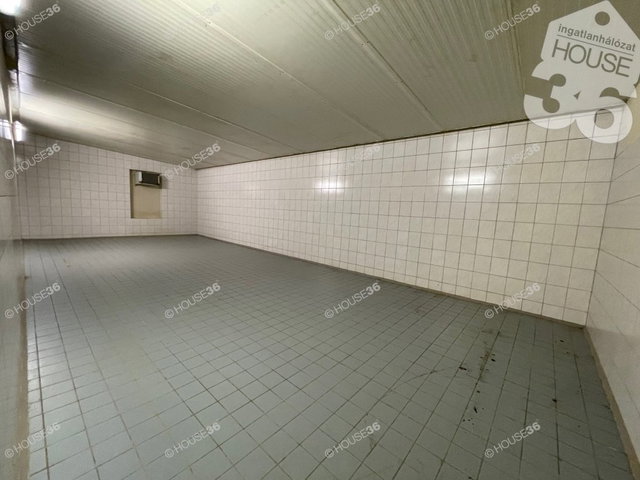 Eladó ipari ingatlan, Nagykőrösön 165 M Ft