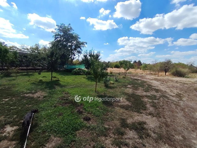 Eladó telek, Tiszaszentimrén 3.5 M Ft / költözzbe.hu
