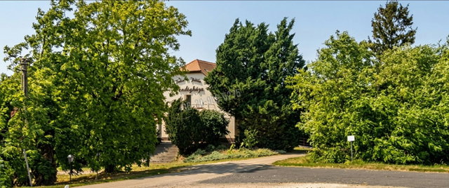 Eladó családi ház, Balatonszárszón 190 M Ft, 10+10 szobás