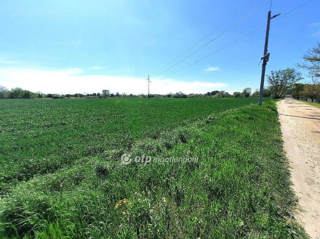 Eladó telek, Kiskunfélegyházán 25.99 M Ft / költözzbe.hu