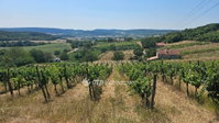 Eladó telek, Balatoncsicsón 44.9 M Ft / költözzbe.hu