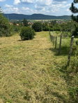 Eladó telek, Pilisvörösváron 79.9 M Ft / költözzbe.hu