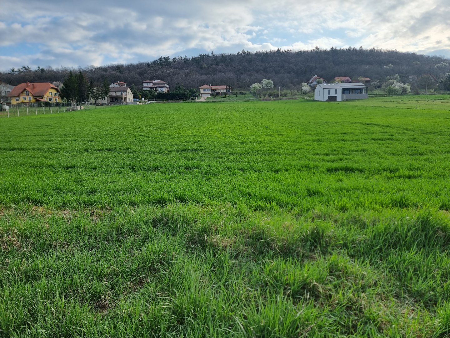 6673m² · 49.990.000 ft