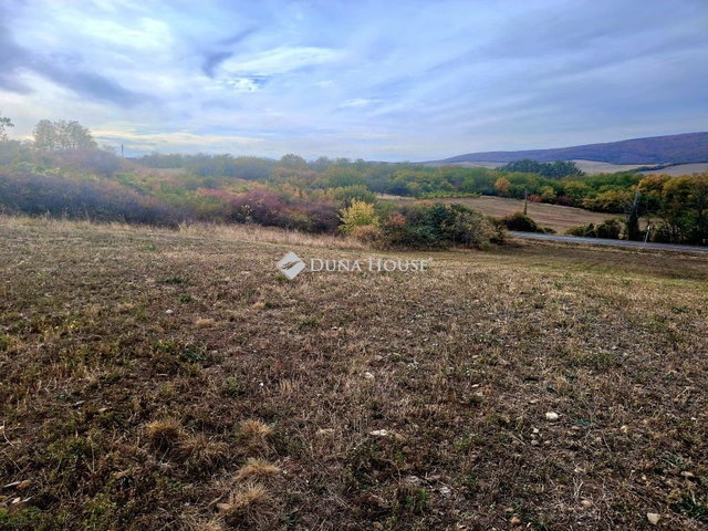 Eladó ipari ingatlan, Pásztón 35 M Ft / költözzbe.hu