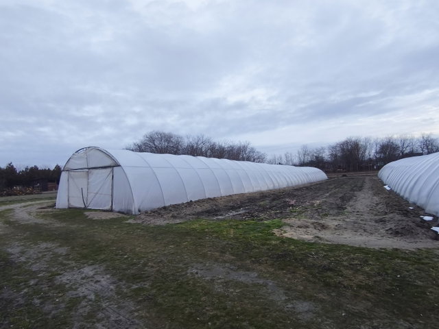 Eladó telek, Nyáregyházán 19.9 M Ft / költözzbe.hu