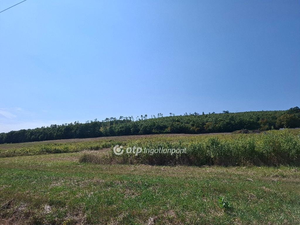 1108m² · 12.900.000 ft