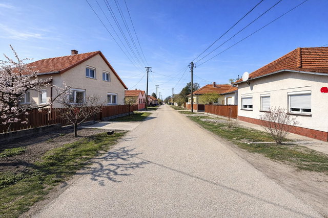 Eladó családi ház, Tiszakécskén 45 M Ft, 3 szobás