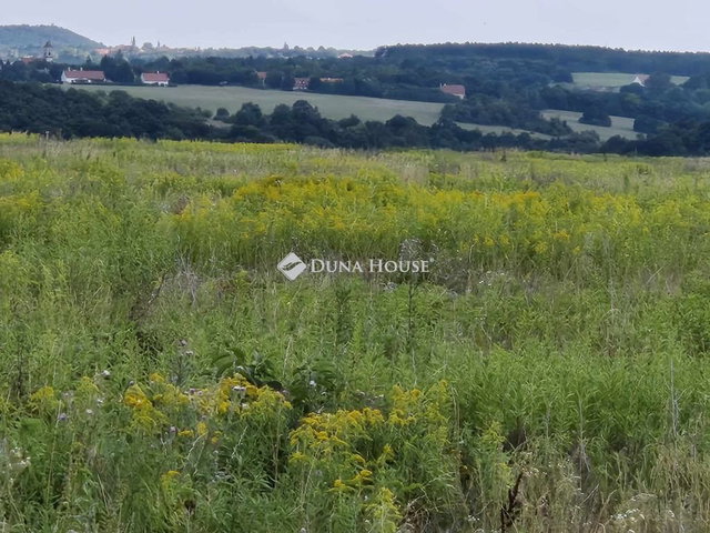 Eladó telek, Nagyvázsonyon 70 M Ft / költözzbe.hu