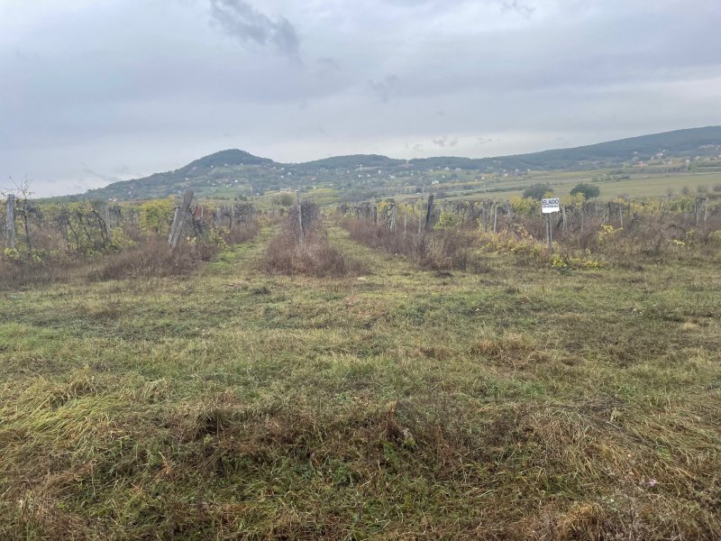 Ipari · 16634 m² · 24.951.000 Ft