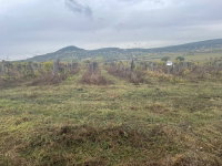 Eladó mezogazdasagi ingatlan, Zánkán 24.951 M Ft