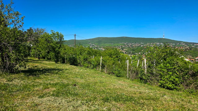 Eladó telek, Pécsett, Bogár dűlőn 8.5 M Ft