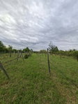 Eladó mezogazdasagi ingatlan, Pásztón 4 M Ft