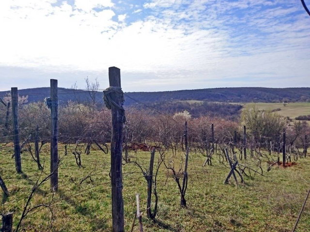 Eladó telek, Balatonalmádiban 5.9 M Ft / költözzbe.hu