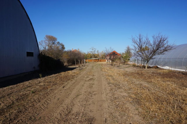 Eladó telek, Tiszaszigeten 0.02 M Ft / költözzbe.hu
