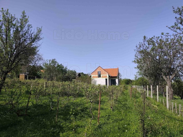 Eladó mezogazdasagi ingatlan, Balatonalmádiban 181.1 M Ft