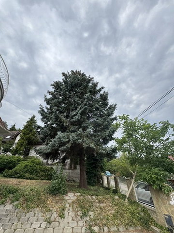 Eladó családi ház, Budapesten, II. kerületben 299.1 M Ft