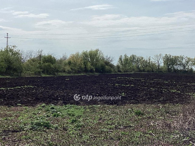 Eladó mezogazdasagi ingatlan, Gyomaendrődön 55 M Ft