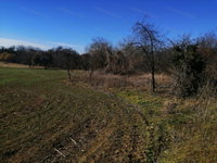 Eladó telek, Balatonszárszón 240 M Ft / költözzbe.hu