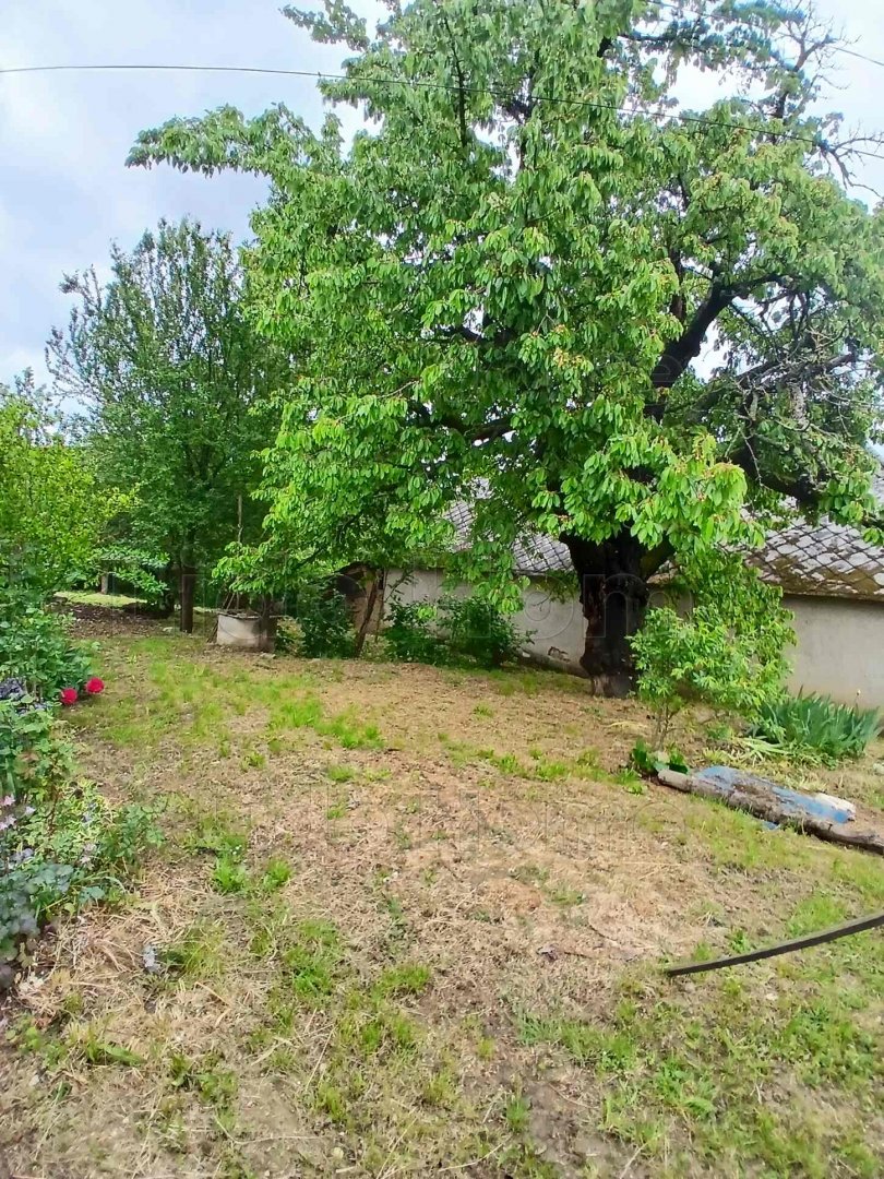 2 bed · 75m² · 25.000.000 ft